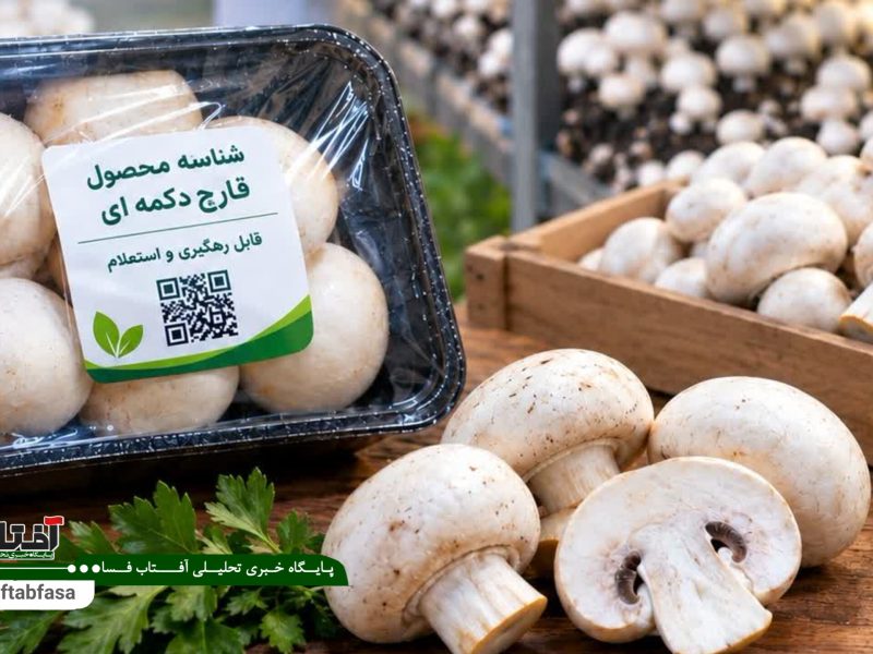 صدور نخستین شناسنامه قارچ در شهرستان فسا