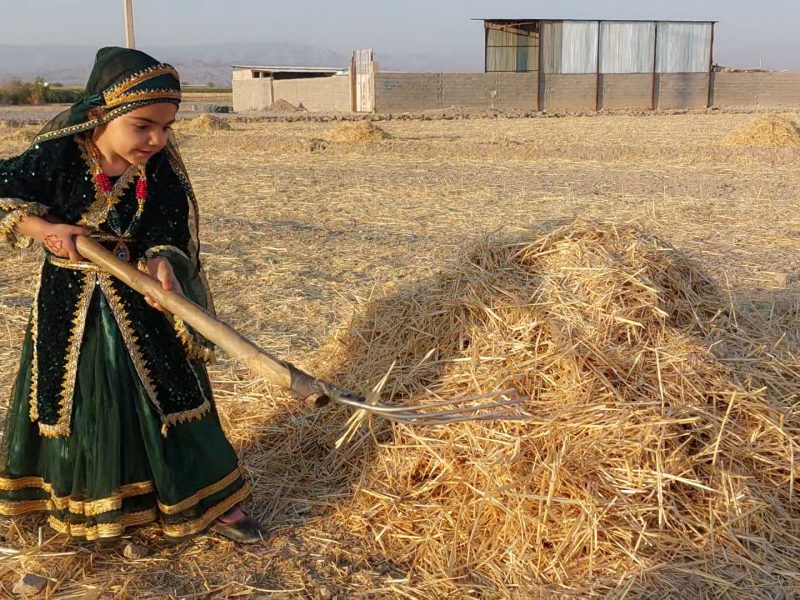 تجلیِ اصالت در روز روستا